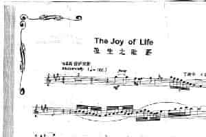 The Joy Of Lire 生之歌 吉他乐谱