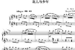 花儿与少年（Rorger制谱版） 钢琴乐谱