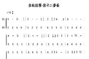 金枝欲孽（笛子二重奏） 笛箫乐谱