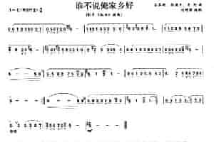 谁不说俺家乡好 笛箫乐谱