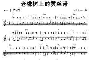 老橡树上的黄丝带（线简谱混排版） 口琴乐谱