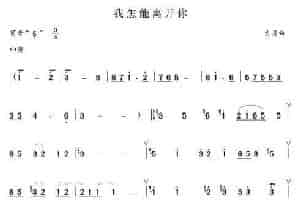 我怎能离开你 笛箫乐谱