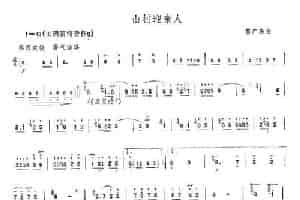 山村迎亲人 笛箫乐谱