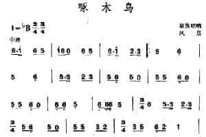 啄木鸟（苗族唢呐） 乐器谱