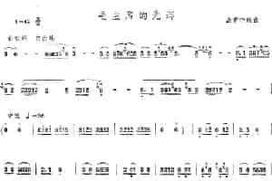 毛主席的光辉（涂青华编曲版） 笛箫乐谱