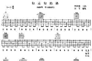 你走你的路 吉他乐谱