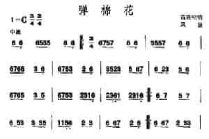 弹棉花 （苗族唢呐） 乐器谱