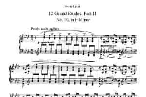 12 Grand Etudes S.137（12首华丽的练习曲·10） 钢琴乐谱
