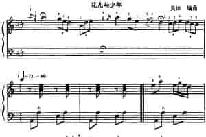花儿与少年（吴冰编曲版） 手风琴乐谱