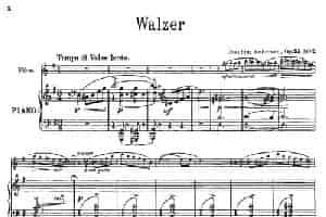 Walzer（Op.55 No.2）（长笛+钢琴伴奏） 长笛乐谱