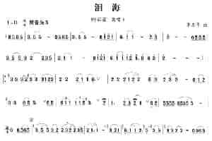 泪海 笛箫乐谱