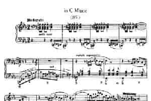 Two Polonaises S.223（2首波洛奈兹舞曲·c小调） 钢琴乐谱