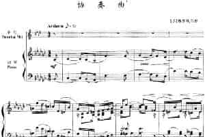 协奏曲（小号+钢琴伴奏） 铜管乐器谱