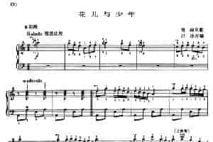 花儿与少年（吕冰改编改编版、带指法） 手风琴乐谱