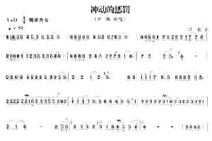 冲动的惩罚 笛箫乐谱