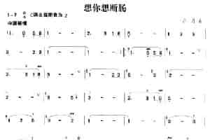 想你想断肠 笛箫乐谱