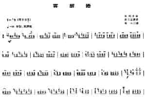 喜新婚 笛箫乐谱