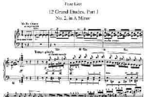 12 Grand Etudes S.137（12首华丽的练习曲·2） 钢琴乐谱