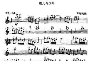 花儿与少年 提琴乐谱