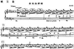 钢琴教程第八级 练习曲（森林的呼啸） 钢琴乐谱
