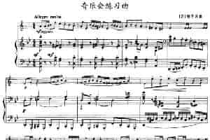 音乐会练习曲（小号+钢琴伴奏） 铜管乐器谱