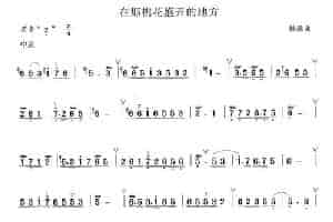 在那桃花盛开的地方 笛箫乐谱