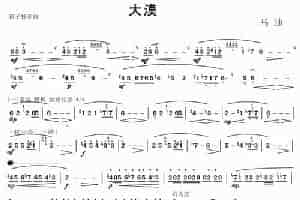 大漠 笛箫乐谱