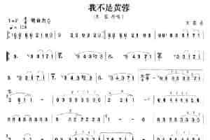 我不是黄蓉 笛箫乐谱