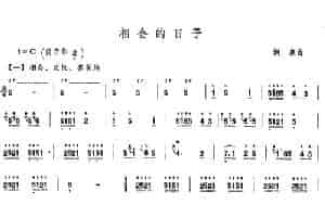 相会的日子 笛箫乐谱