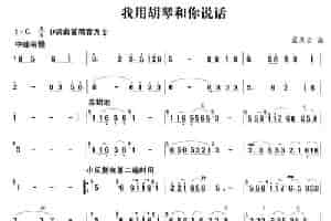 我用胡琴和你说话 笛箫乐谱