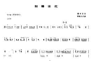 粉蝶采花（唢呐谱） 乐器谱