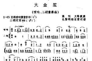 大金笙（唢呐+二胡） 乐器谱