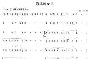 追风的女儿 笛箫乐谱