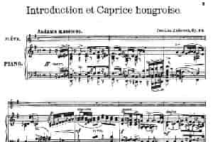 Introduction et Caprice（Op.58）（长笛+钢琴伴奏） 长笛乐谱