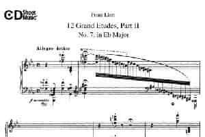 12 Grand Etudes S.137（12首华丽的练习曲·7） 钢琴乐谱