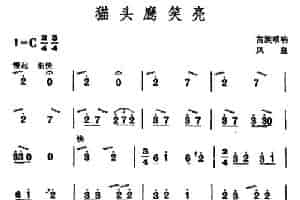 猫头鹰笑亮（苗族唢呐） 乐器谱
