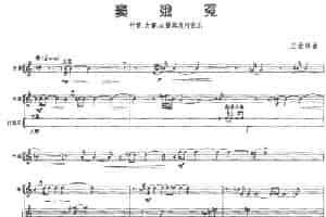 窦娥冤（竹笛、古筝、大提琴及打击乐） 乐器谱