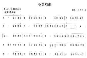小奏鸣曲（贝多芬作曲版） 笛箫乐谱