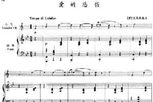爱的悲伤（小号+钢琴伴奏） 铜管乐器谱