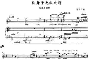 翔舞于无极之野（竹笛+钢琴） 笛箫乐谱