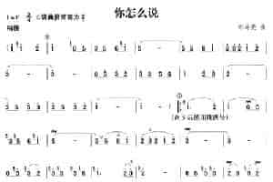 你怎么说 笛箫乐谱