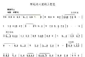 弹起我心爱的土琵琶 笛箫乐谱