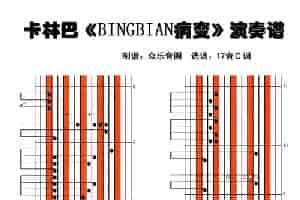 BINGBIAN病变（拇指琴卡林巴琴演奏谱） 乐器谱
