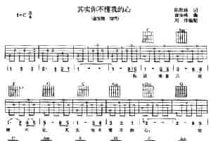 其实你不懂我的心（刘传编配版） 吉他乐谱