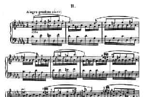 12首钢琴练习曲 12 Etudes S.136（Ⅱ） 钢琴乐谱