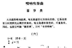 大关苗族唢呐吹奏曲调：喜事类（六） 乐器谱
