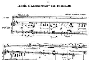 Opern-Transcriptionen.Op.45-6（长笛+钢琴伴奏） 长笛乐谱