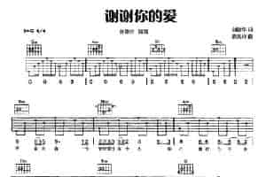 谢谢你的爱（刘德华词 熊美玲曲） 吉他乐谱