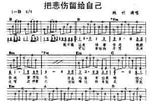 把悲伤留给自己 吉他乐谱