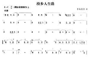 漫步人生路 笛箫乐谱